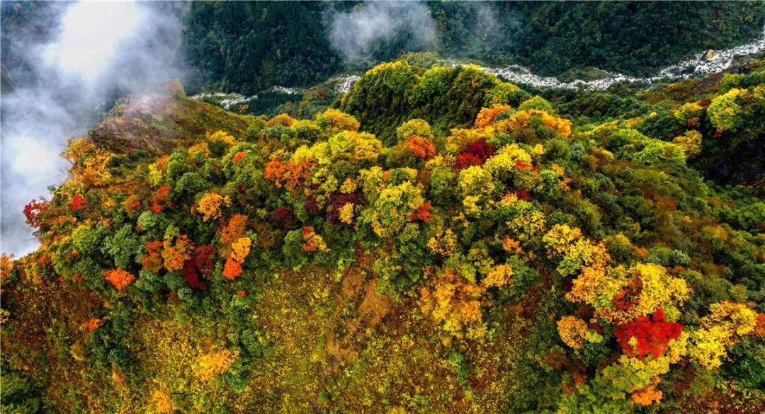 最佳观赏时间:10月地点:彭州市龙门山镇宝山村太阳湾景区,回龙沟景区