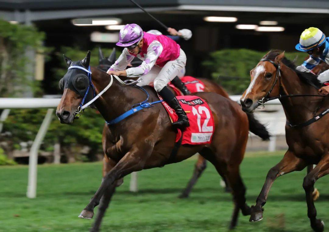 17/1赛后报告:【万众开心】潘顿,田泰安起宨而回_赛事_独角兽_乐天派