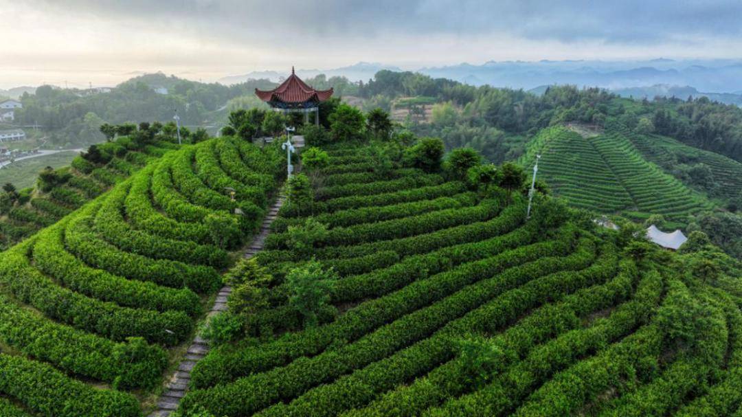 不妨置身平阳山水,领略人文底蕴……