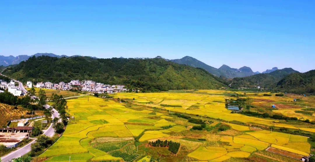 文明乡风丨上林县西燕镇:全力推进乡村振兴 绘就和美乡村新画卷_林村