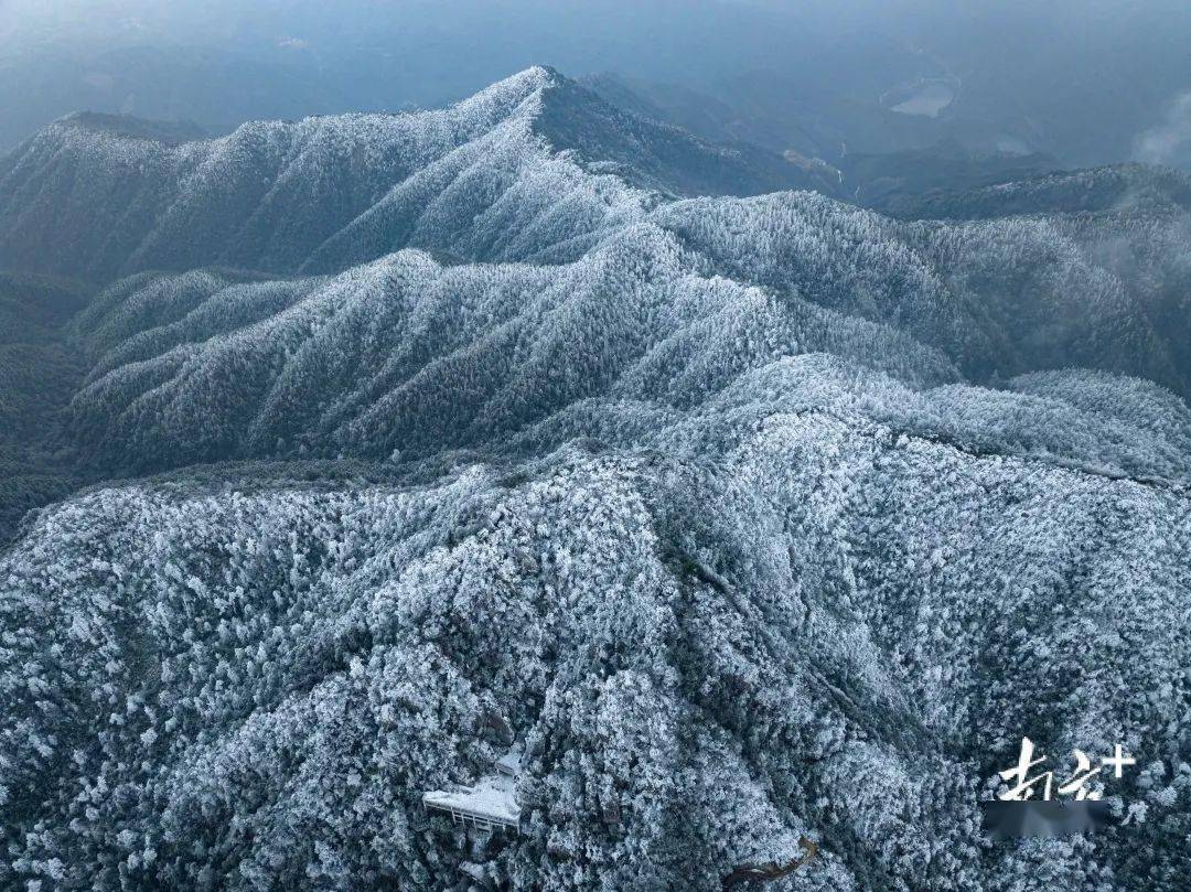粤北将飘雪,德庆最低气温预计0℃,肇庆全市寒冷黄色预警信号正在生效