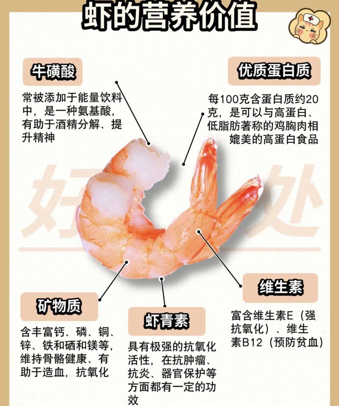 虾肉营养成分表图片