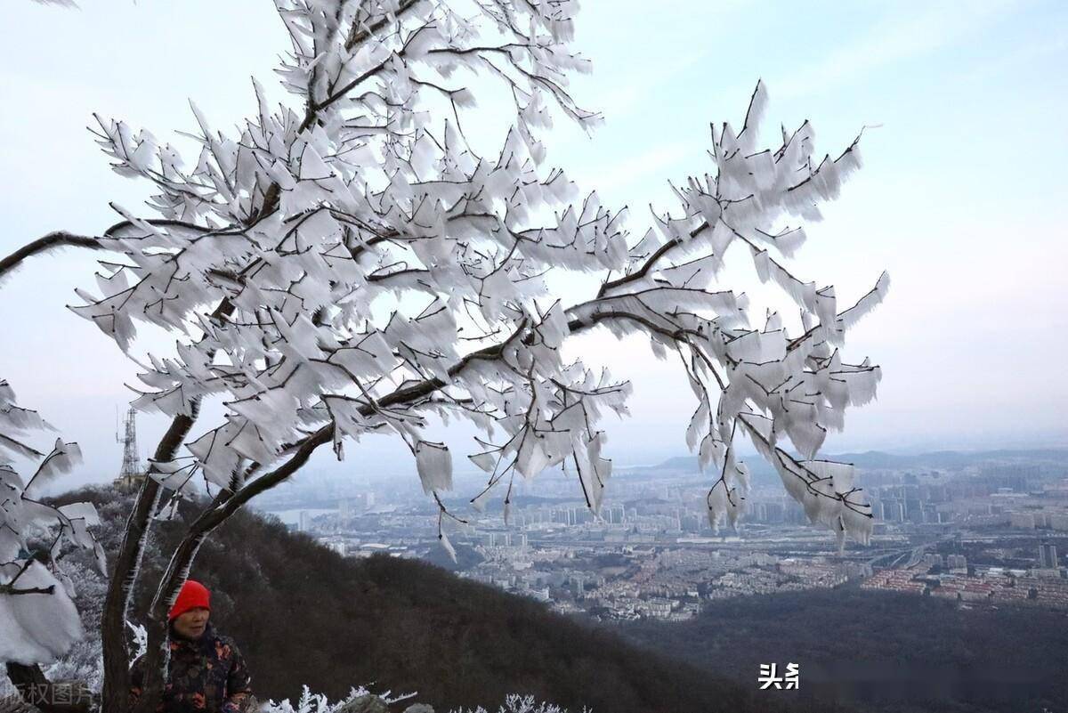 南京雪景紫金山图片