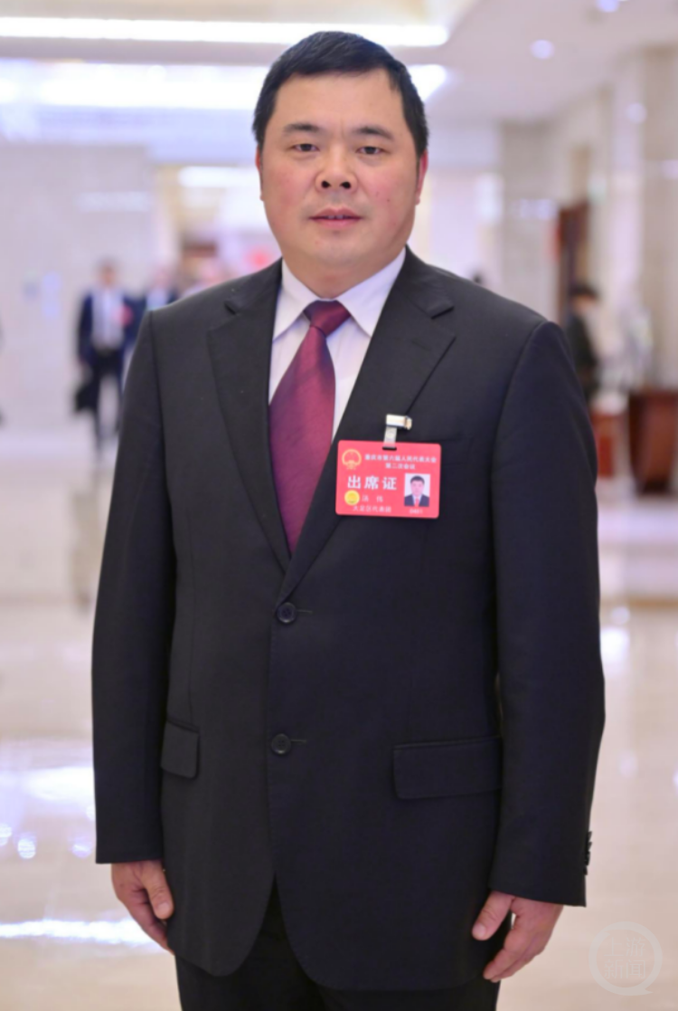 两会声音|汤伟代表:发挥资源优势 发展壮大锶盐新材料产业_大足_建议