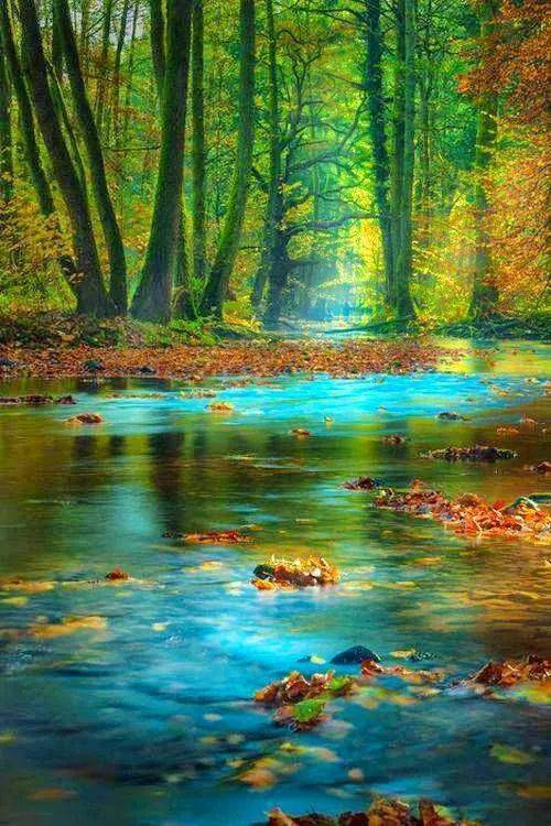 跑遍75个国家拍回来的照片!太美太震撼了,邀您共赏!