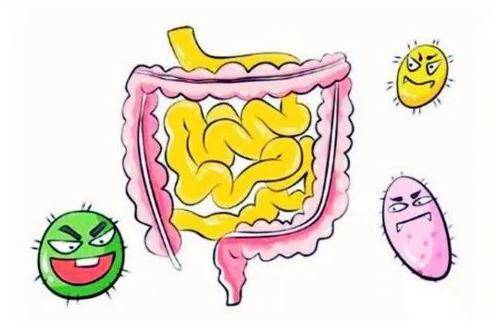 畢節發佈春節期間健康提示_防護_人群_疾病