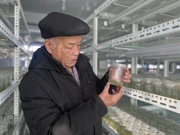 新春走基层·黄土地上的"大食物"∣一颗土豆的全产业链"革命"_岚县