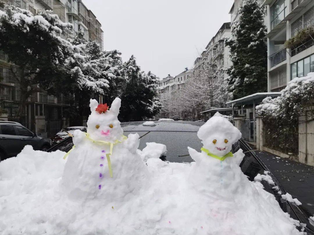 絕美雪景大片!屬於綿陽人的浪漫,有你拍的嗎?_白雪鑲