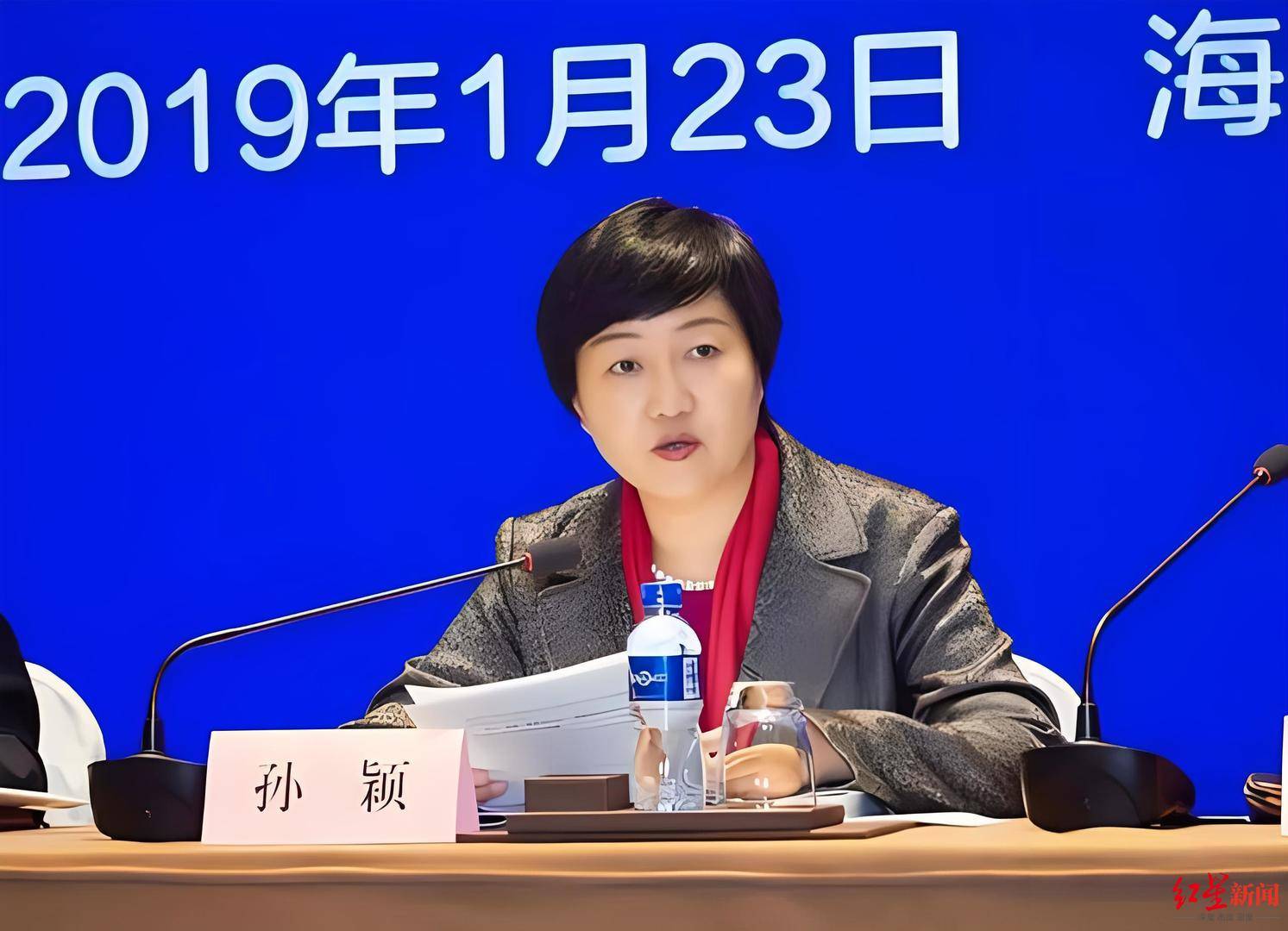 此外,孙颖在定安县的专职司机叶民武也是将她拖进犯罪深渊的重要推手