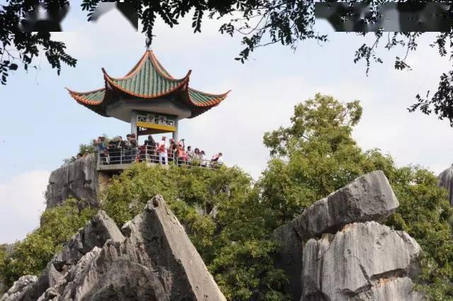 大石林望峰亭(李兰英摄)望峰亭在大石林中部,建于一高约40米的巨形