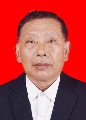 委员,组织部部长,后勤基建处处长王友军中国人民解放军海军某部飞行