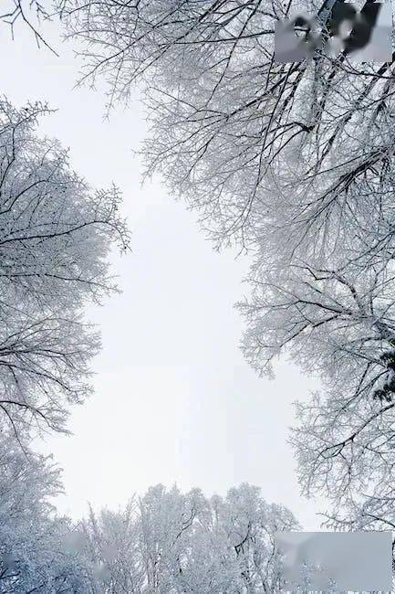 散文薦讀 | 飄雪之喜_雪花_麻雀_青島