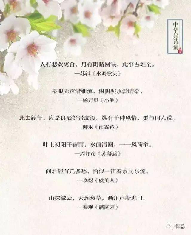 永恆_書畫_琵琶