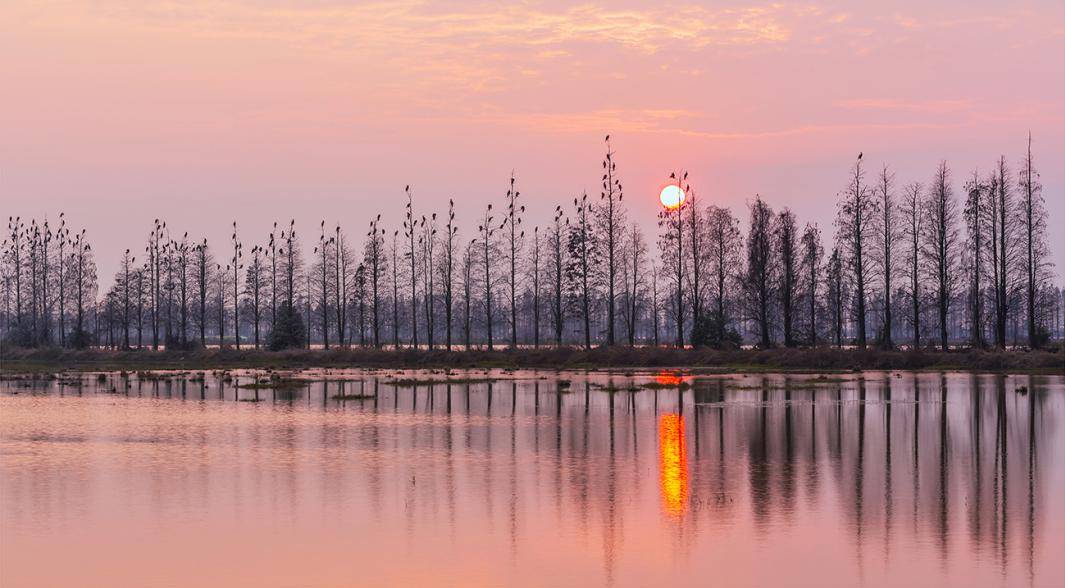 观鸟故事多——余干生态渔鸟观光长廊康山大堤