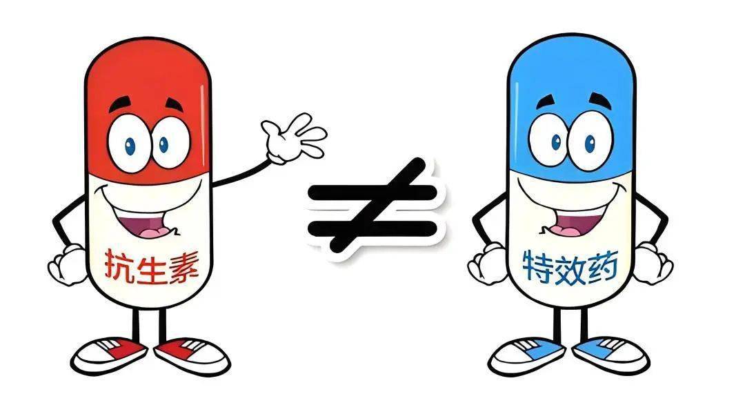 奥司他韦,盐酸阿比多尔等特效药对甲,乙型流感均有疗效.