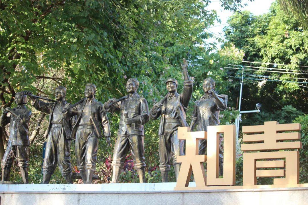 真羡慕住在大良顺峰的人,原来这么美!_社区_历史_居民
