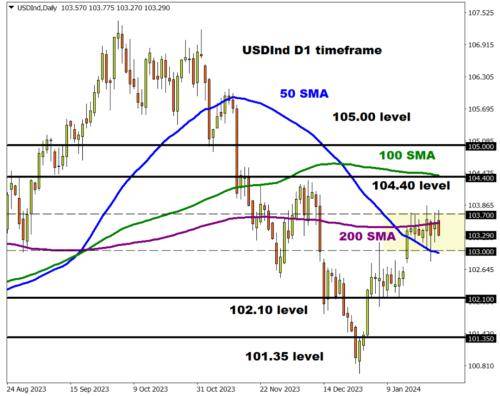 美元指数2024年强势开局 这4大因素将影响其未来走势_美国_预期_市场