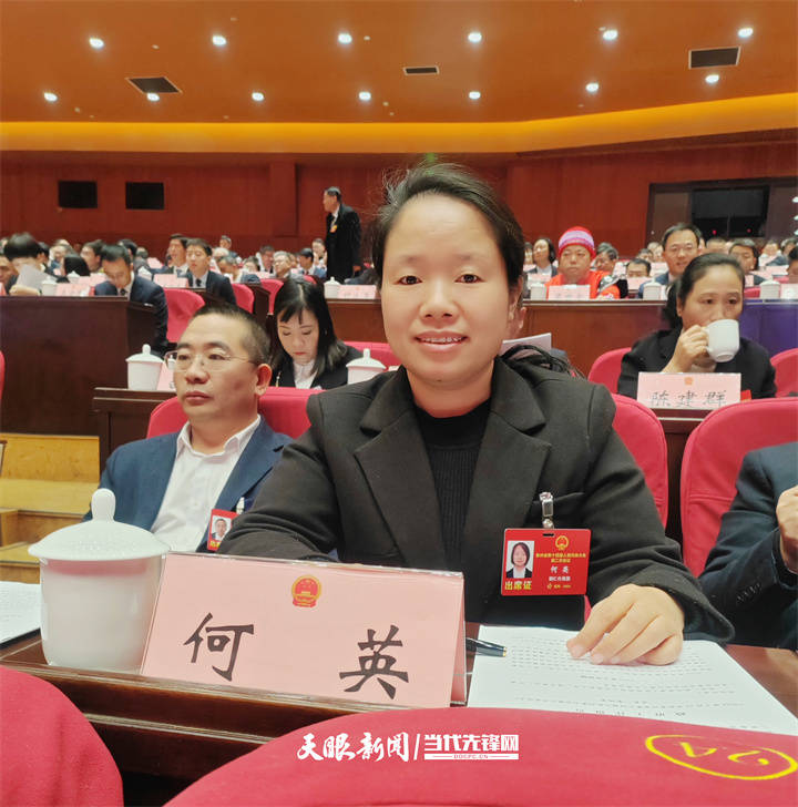 两会现场速递|何英代表:加快铜仁万山区新建化工园区建设发展