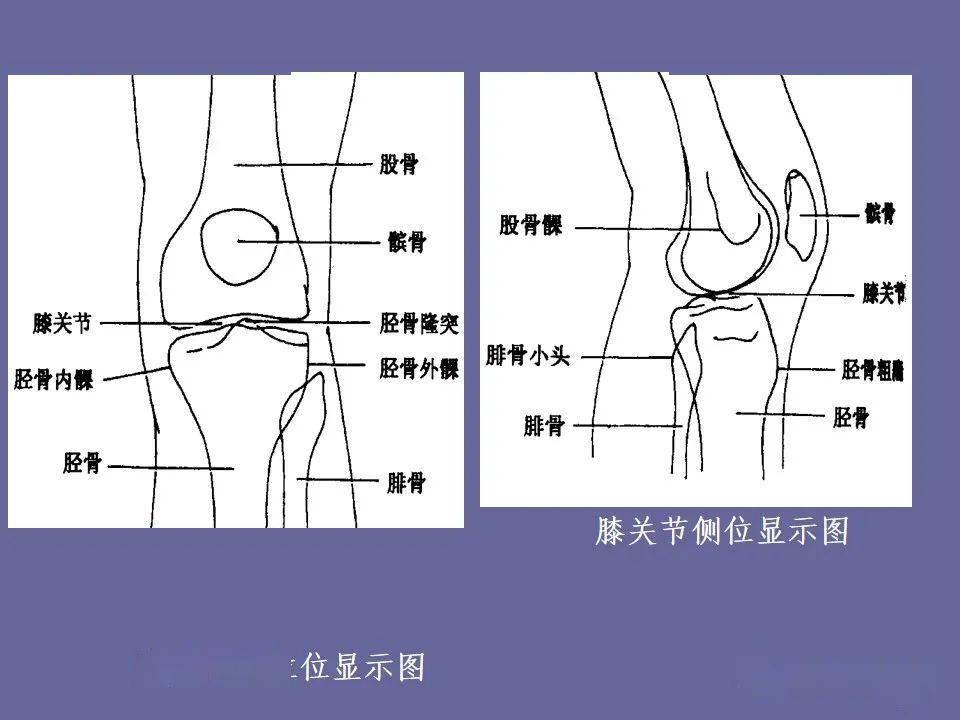 主要从医学影像颈椎正侧位,腰椎正侧位及骨盆前后正位体位知识进行了