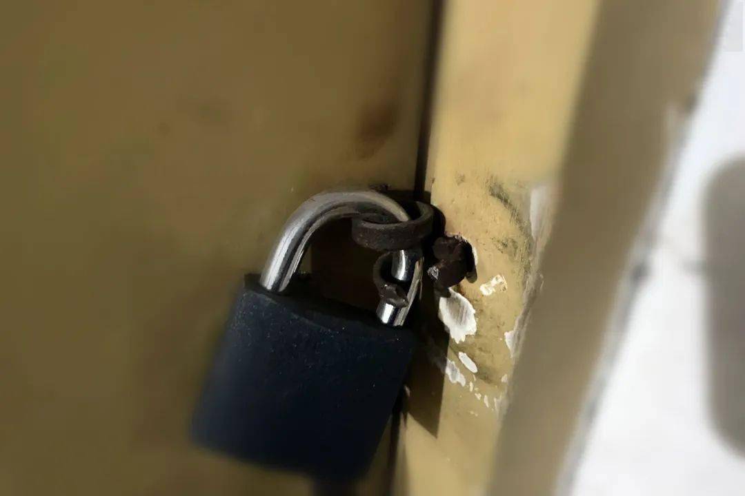 莘县公安速破系列地下室盗窃案!_小区_嫌疑人_办案