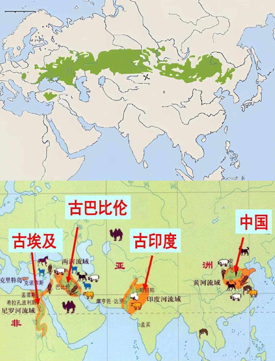 揭秘古代世界的高速公路欧亚大草原;探索其对世界文明的深远影响