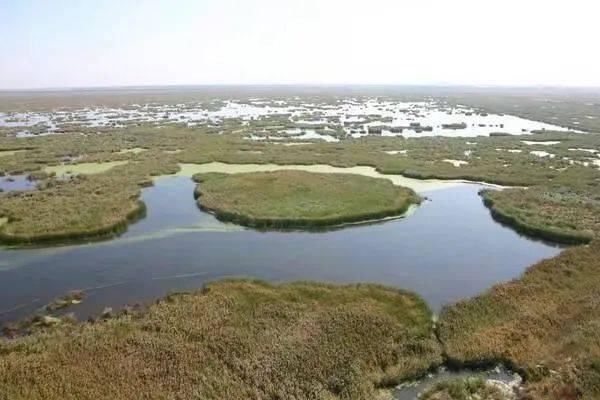 【地理赏析】煤炭之城,黑龙江七台河,黑龙江冷知识:很多当地人都不