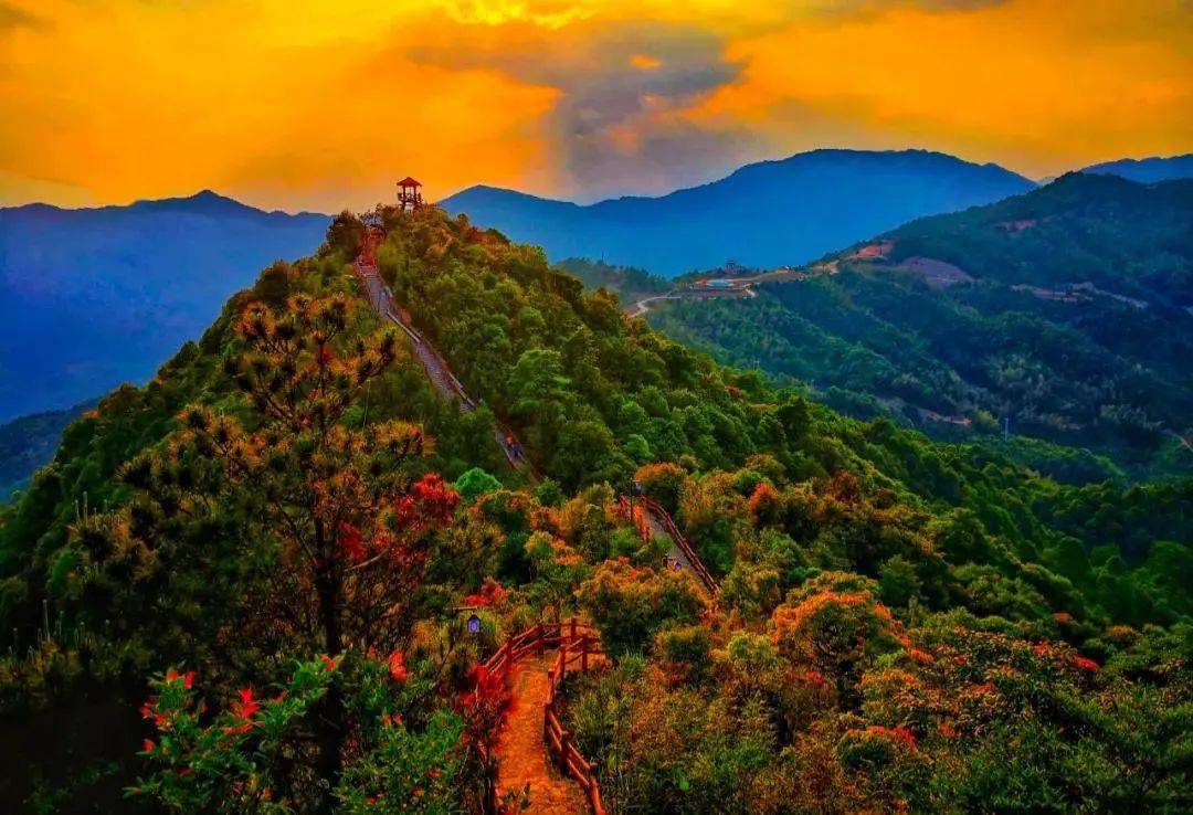 坪水畲寨鹰仔尖酒泉留芳——高石村天下秋千第一村——招坑秋千谷华安