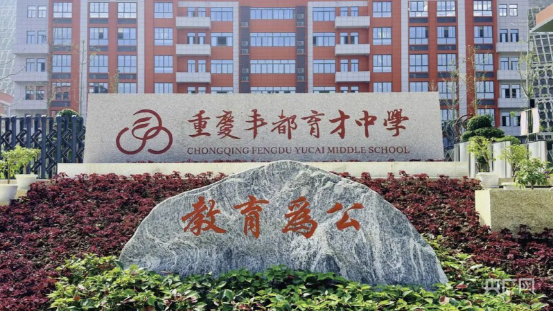 重庆育才中学logo图片