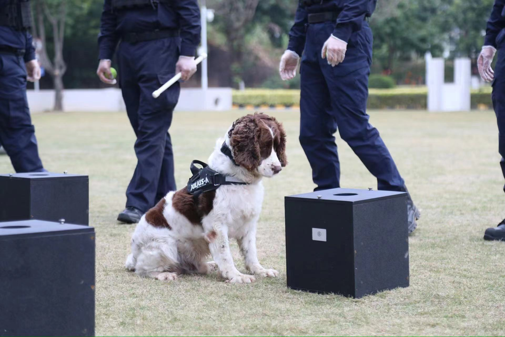 深圳警校图片