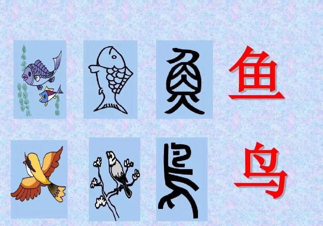 形体字大全图片欣赏图片