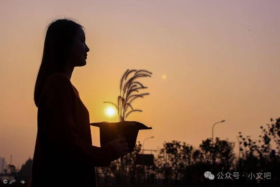 漸漸懂得-人生感悟美文_生活_生命_歲月