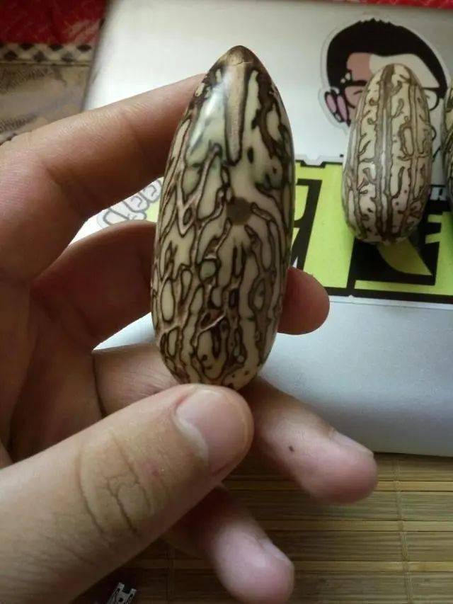 大概在四五年前,千眼菩提也是有造假的,比如染色的千眼菩提,毕竟那个