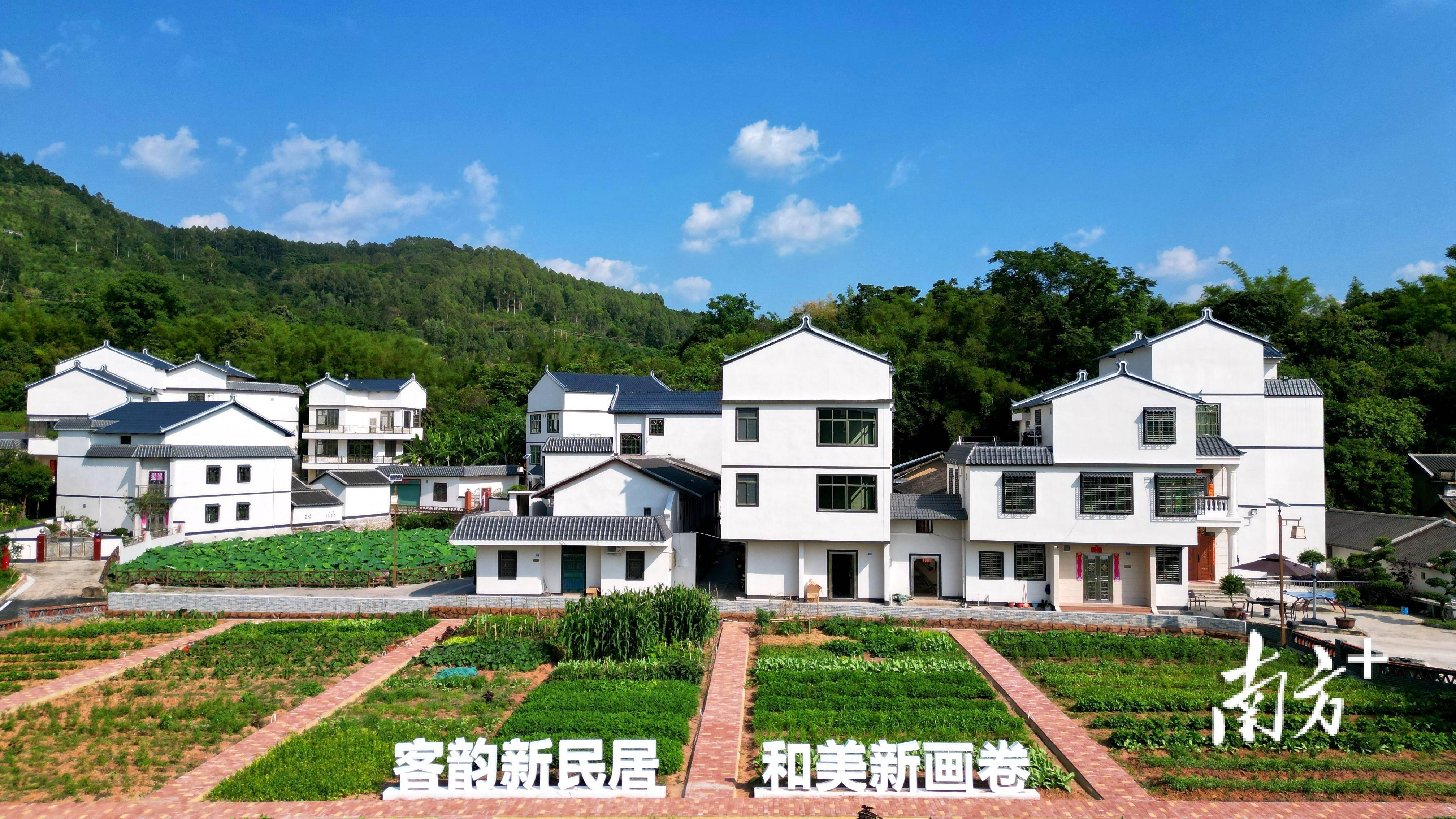 南方 记者 许文浩 黄韬炜【作者】 许文浩;黄韬炜【来源】 南方报业