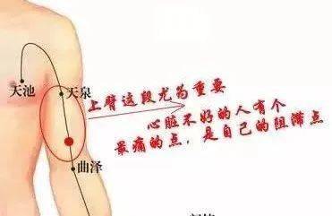把天泉穴与曲泽穴之间分成三份,心包经的痛点(阻滞点)就位于靠近曲泽