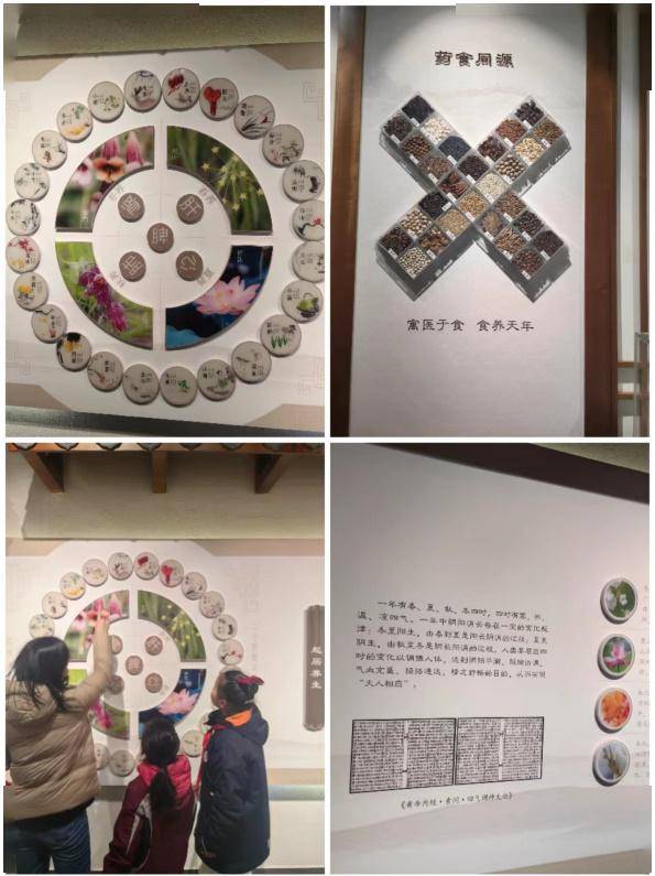 【红领巾寻访】寻中药之魅力,承中华之瑰宝——四(5)中队求知小队寻访