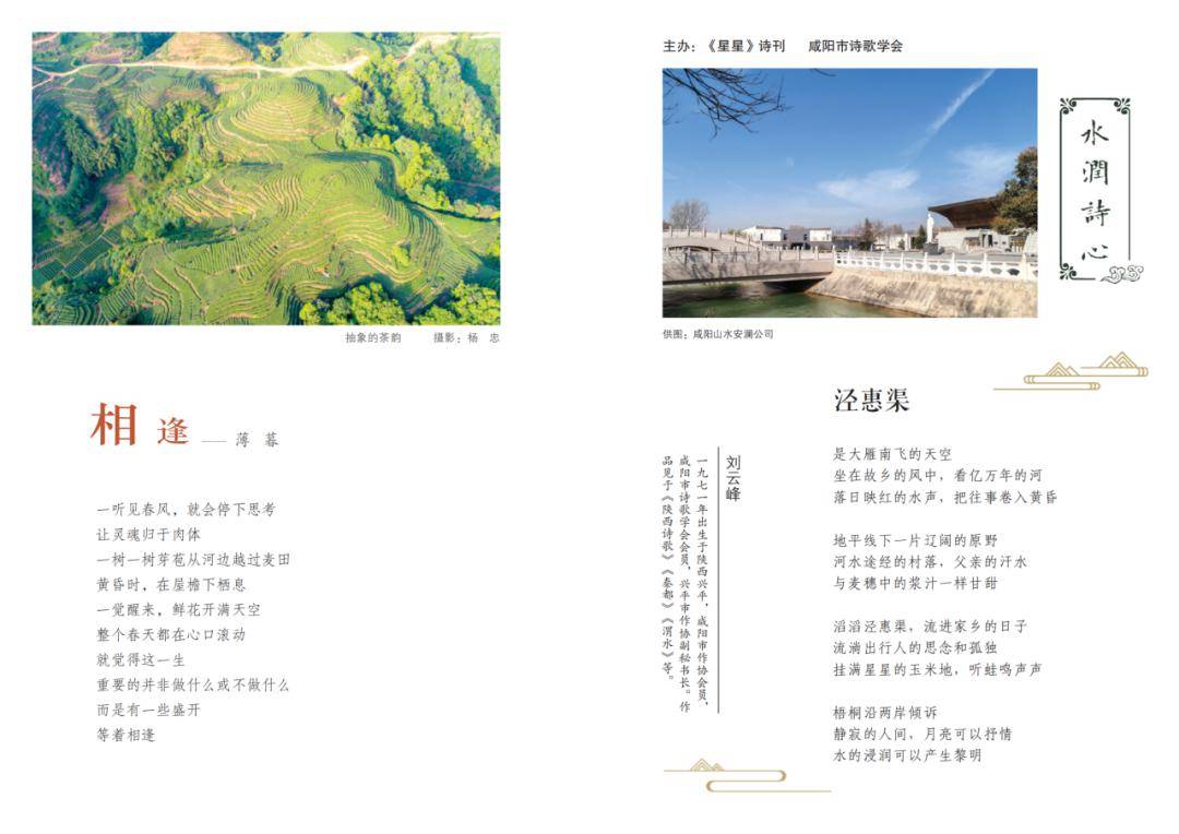 76 欢迎订购 7676 星星往期杂志封面回顾 76《星星》诗刊主