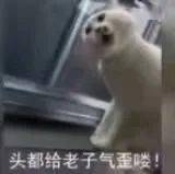 抖音热门表情包:可是吗喽也会难过_公众_il_一个人
