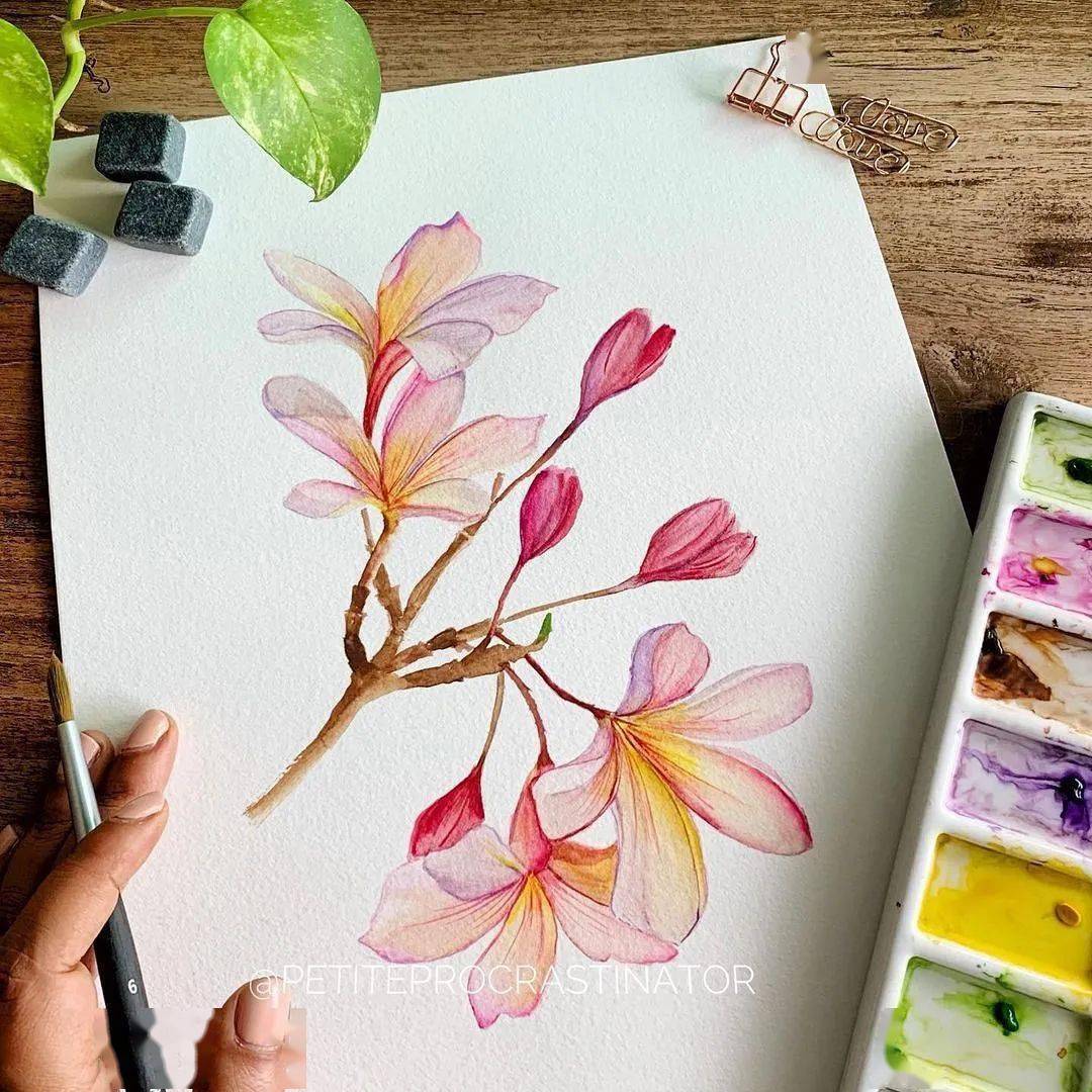 美女自学成才,仅用1年时间,画出超清新唯美水彩花卉,这意境太美,看跪.