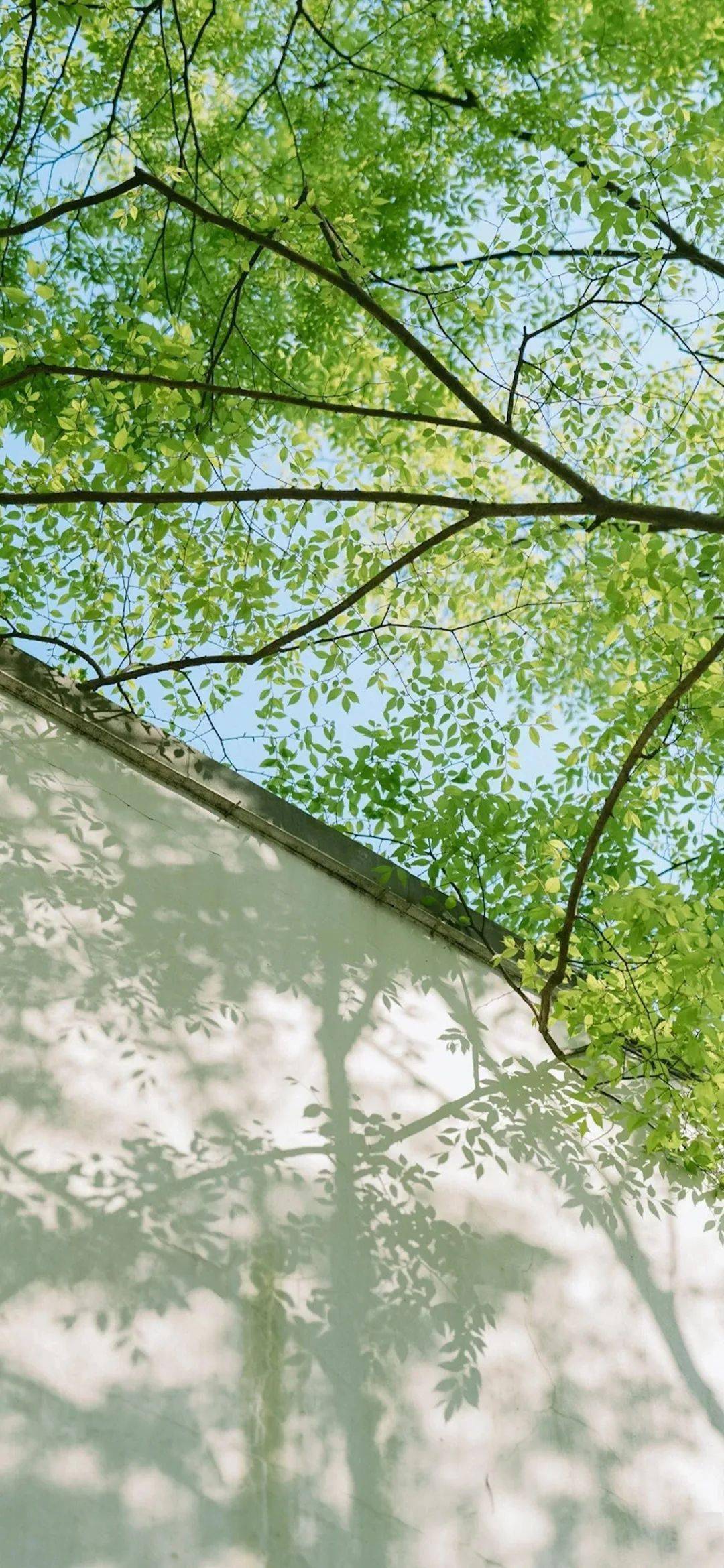 壁纸 | 简约高级感锁屏壁纸