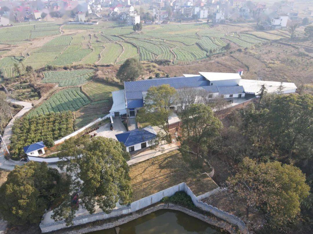 【朴实勤勉,守正奋进】古法匠心酿美酒_酿酒_良坊镇_莲花县