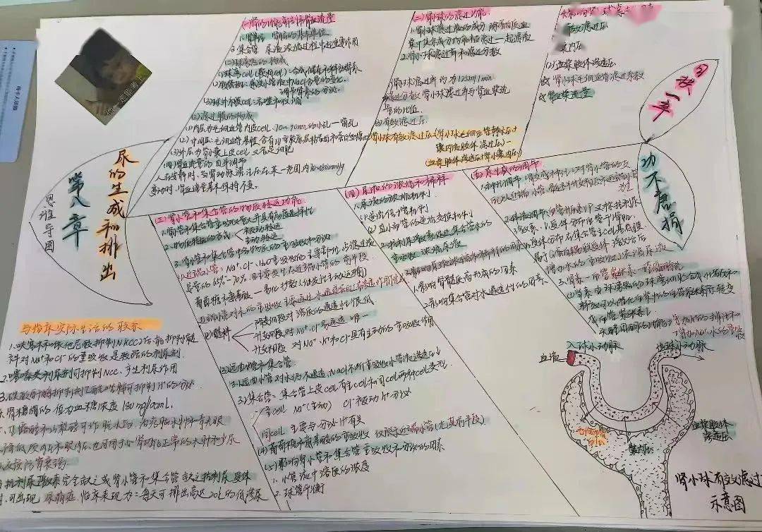 笔记_大赛_医学生