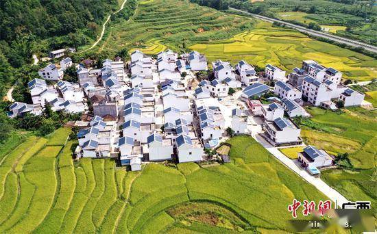 广西靖西:和美乡村绘就振兴新画卷