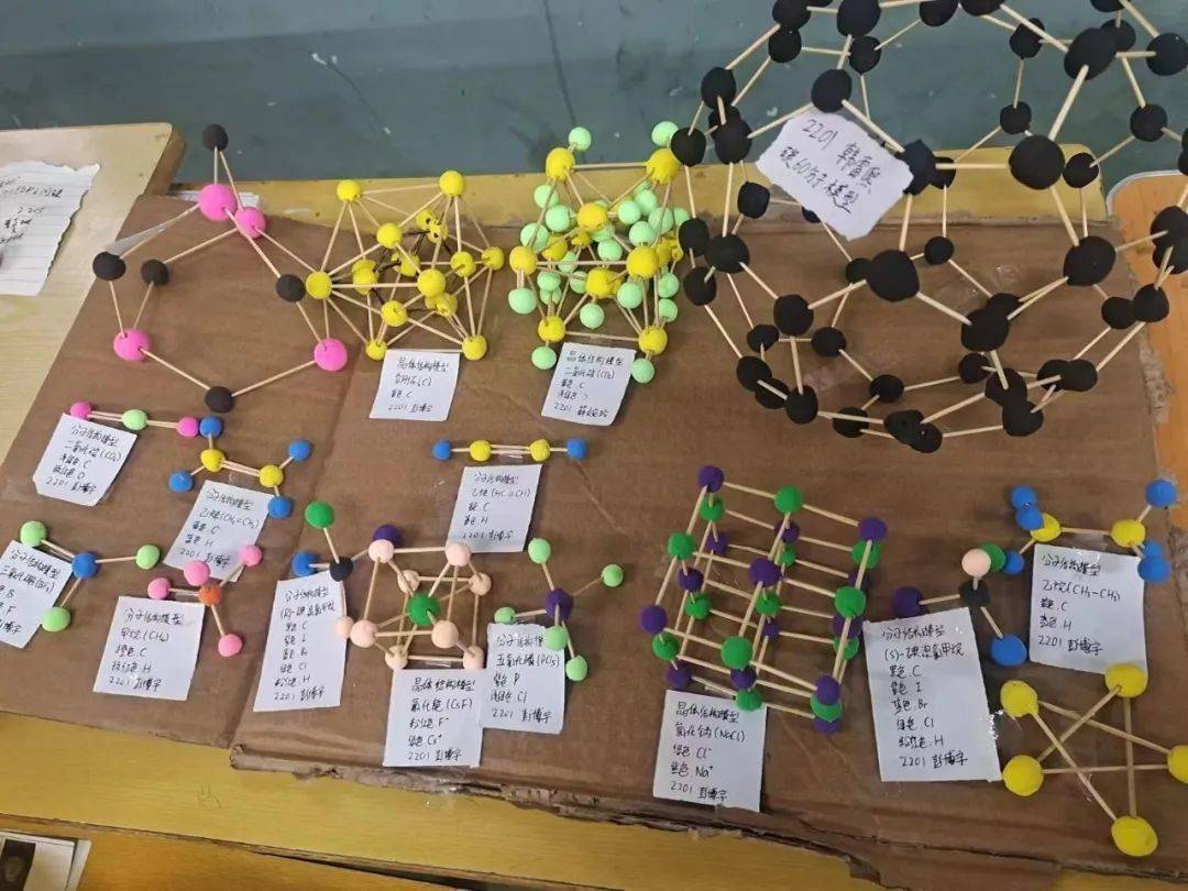 制作真核细胞的三维结构模型比赛生物生态缸活动手工创意类活动也非常