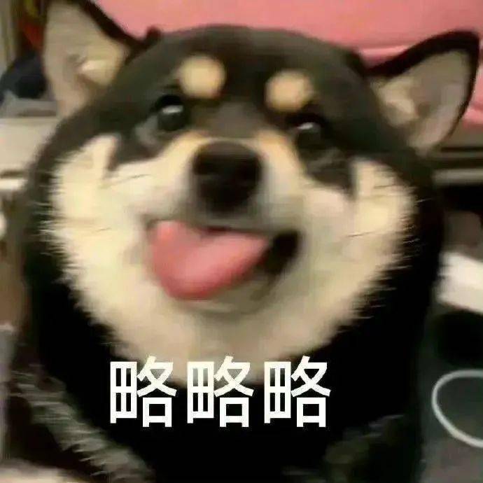 沙雕搞笑表情包:能不能先上dj_公众_黑夜_il