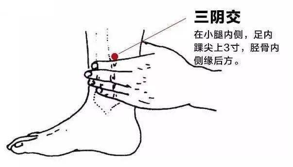 脾衰比腎虛更可怕,一法調理所有脾胃病_能量_循環_生命