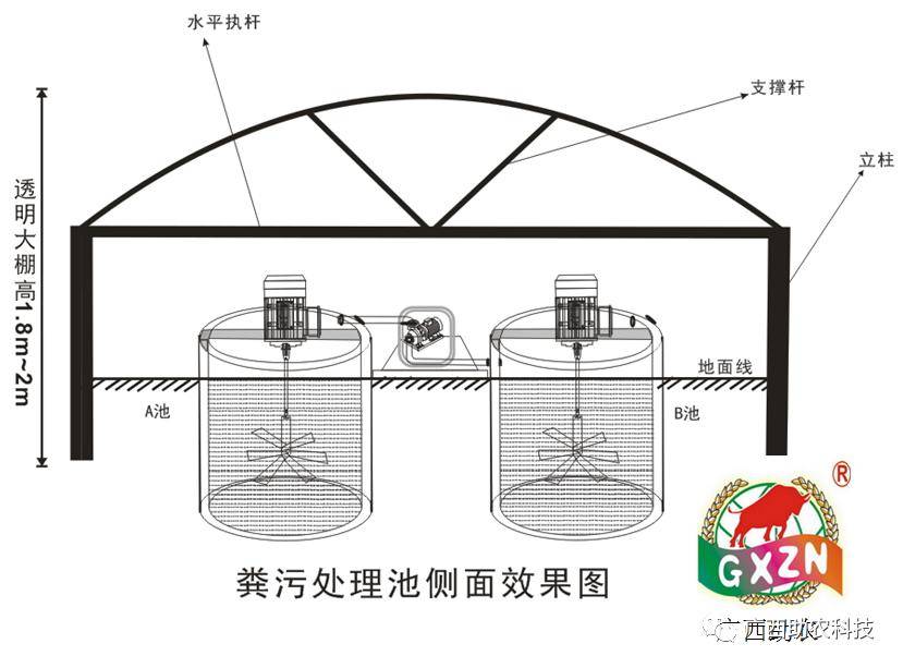 水泡粪猪舍怎样设计图片