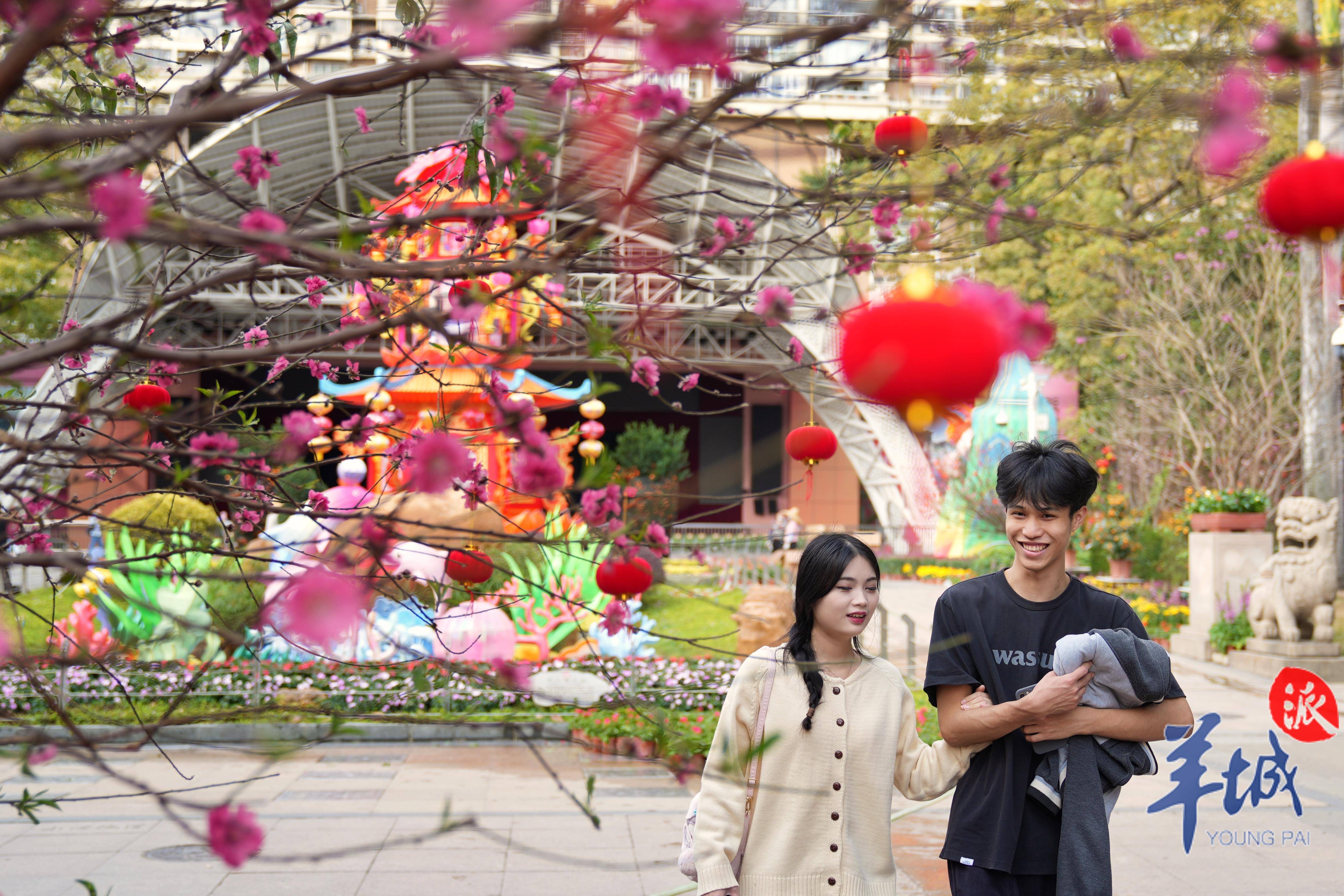 2024 spring festival flower market in guangzhou: largest peach