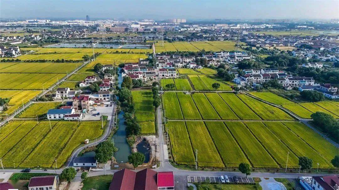 相城区_黄埭镇_乡村