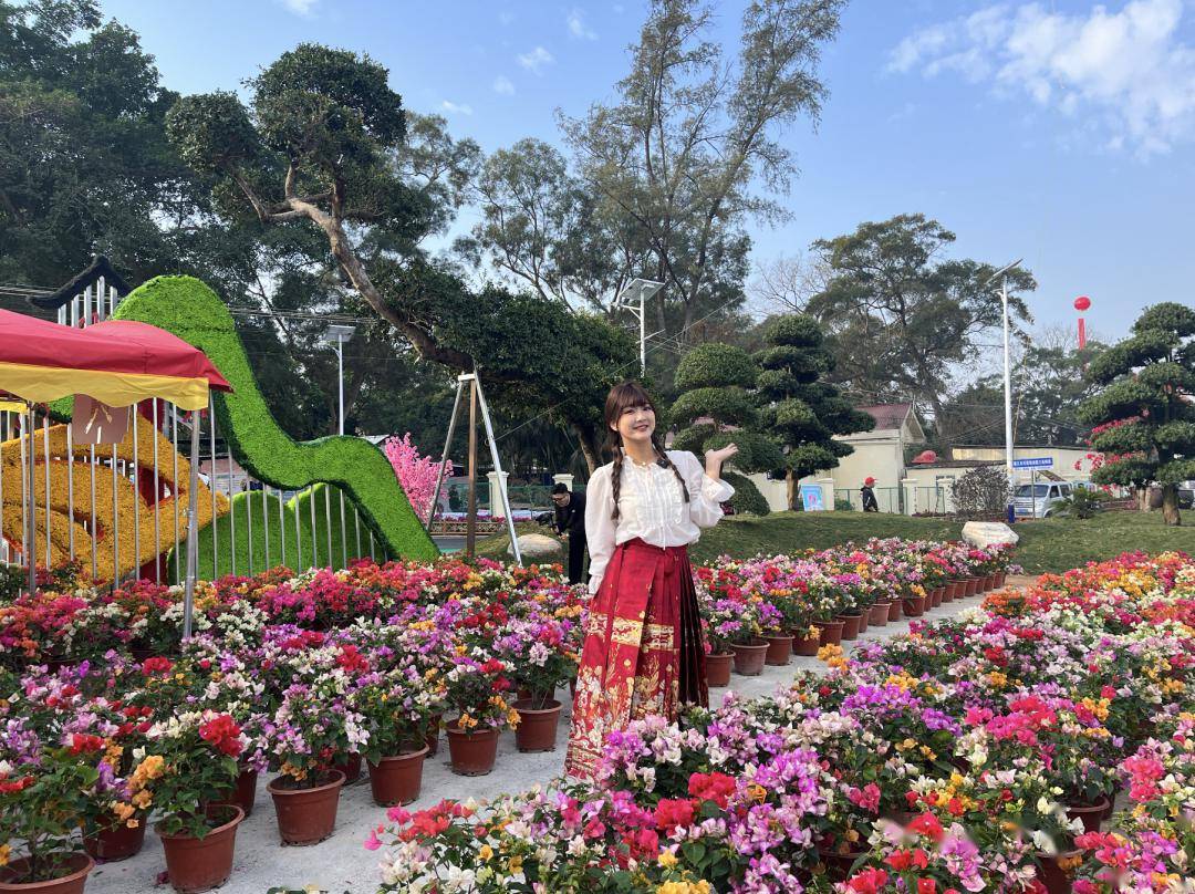 99田园寨田园综合体集农业观光,乡村旅游,休闲度假,健康养生为一体2