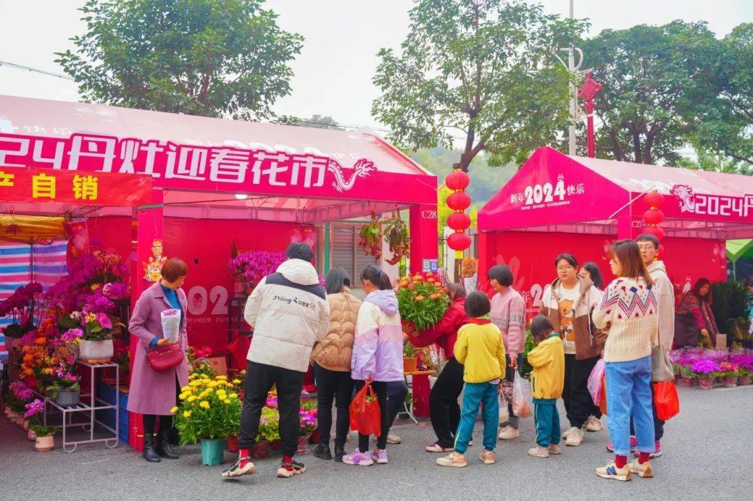丹灶网站建设推广 来自搜狐网